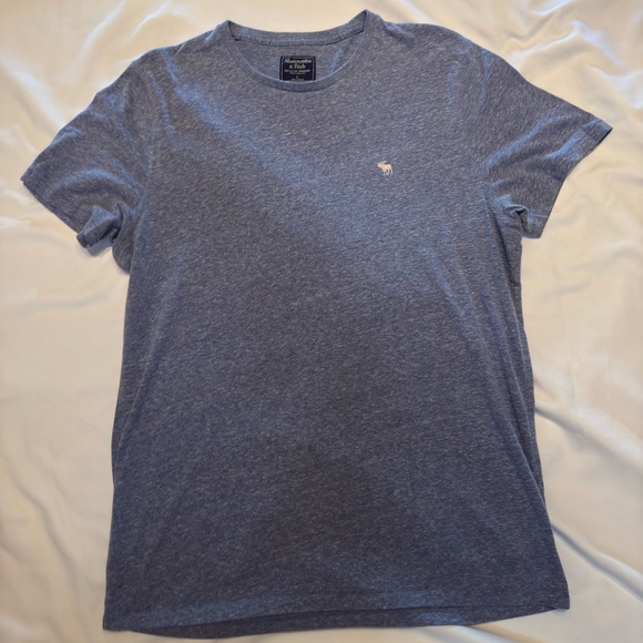 Abercrombie & Fitch Other - Abercrombie and Fitch, large blue T-shirt